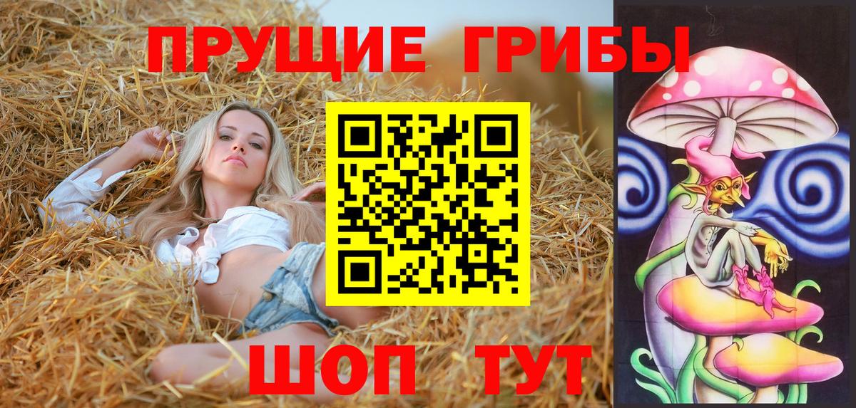 Галлюциногенные грибы Psilocybe Муром