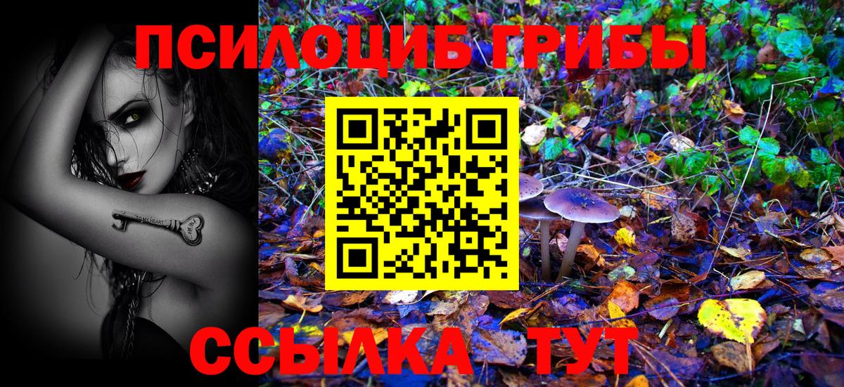 Галлюциногенные грибы Magic Shrooms  Вход с VPN  Муром  Галлюциногенные грибы Psilocybe 